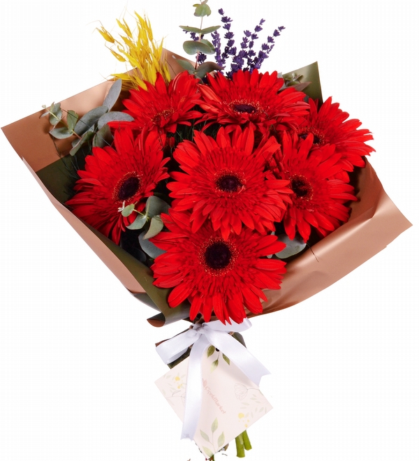 Red Garden Gerbera Buketi
